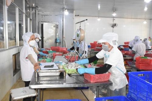 VASEP: Doanh nghiệp băn khoăn bởi quy định 'trộn lẫn nguyên liệu' trong Nghị định 37
