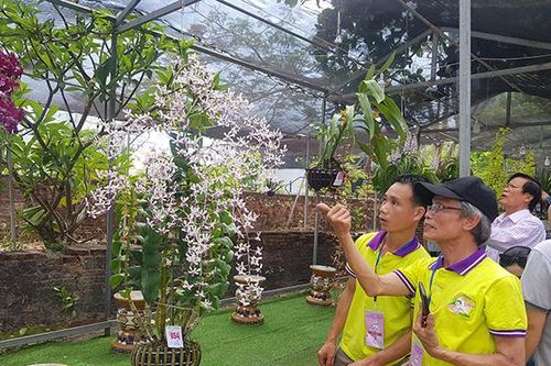 Sắp diễn ra hội thi lan kiếm toàn quốc 2024 tại Đà Nẵng