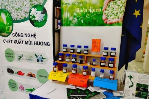 Doanh nghiệp sản xuất tinh dầu đối mặt nhiều thách thức