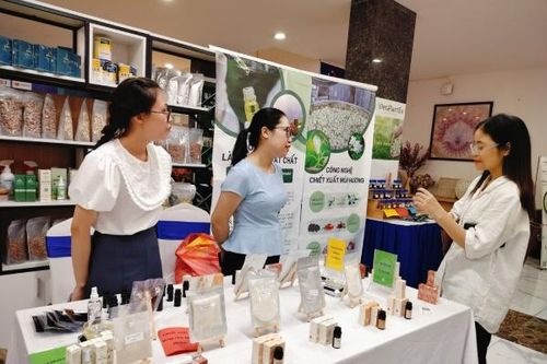 Doanh nghiệp tinh dầu quế đau đáu nỗi lo xuất khẩu