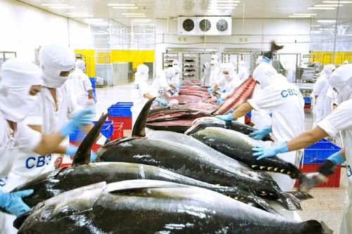Doanh nghiệp thủy sản lo ngại nhiều quy định mới của Nghị định 37