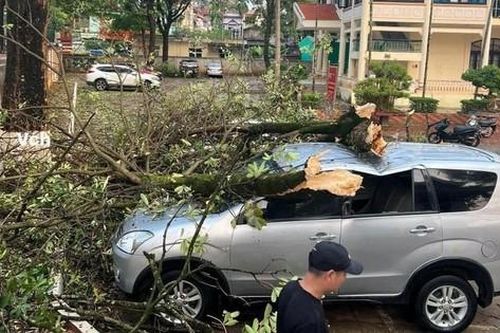 Sơn La: 1 phụ nữ bị sét đánh tử vong, gần 5.000 ngôi nhà bị hư hỏng do thiên tai