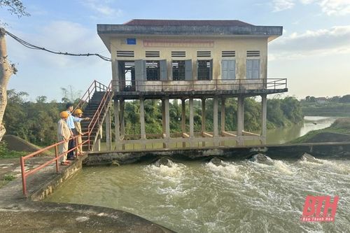 Chủ động phục vụ nước tưới và chống hạn cây trồng vụ chiêm - xuân