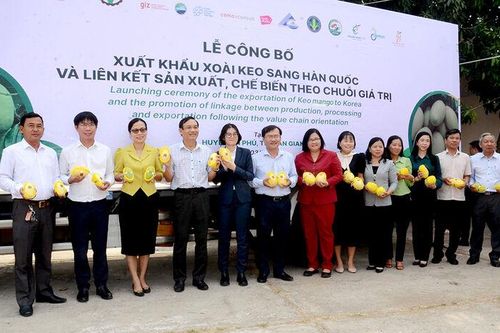 An Phú tập trung giải pháp tăng trưởng