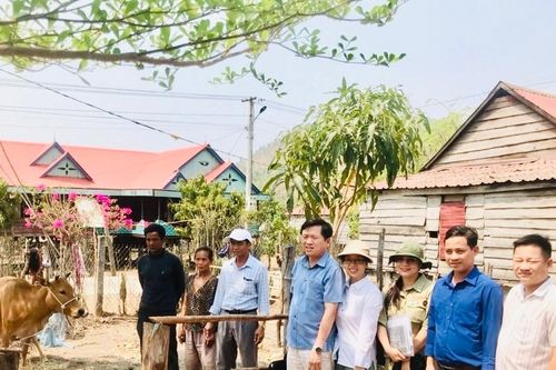 Sở Y tế Gia Lai bàn giao bò và tôn cho 5 hộ nghèo thôn Plei Hek