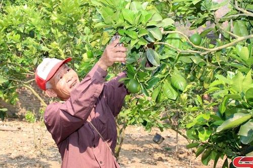 Lãnh đạo nhân dân phát triển kinh tế hiệu quả