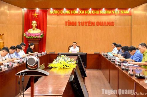 Hoàn thành sắp xếp, đổi mới công ty nông lâm nghiệp trong năm 2024