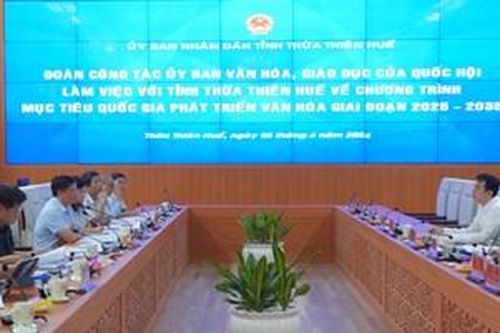 Phát triển toàn diện, hài hòa giữa các hoạt động văn hóa