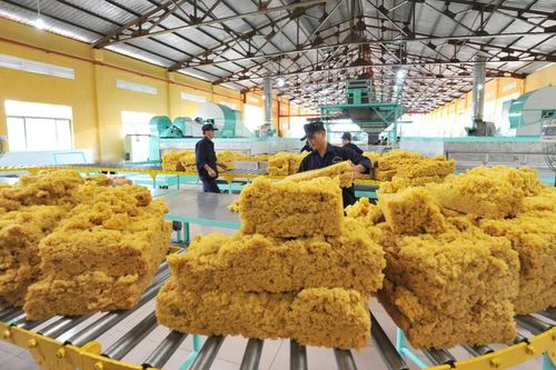 Không còn khoản bồi thường từ VSIP III, lãi ròng của Cao su Phước Hòa (PHR) 'lao dốc'