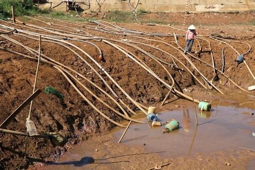 Các tỉnh Tây Nguyên gồng mình chống hạn