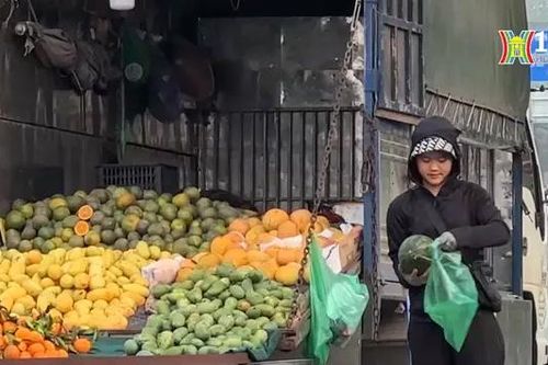 Vi phạm trật tự an toàn giao thông trên đường Ngọc Hồi