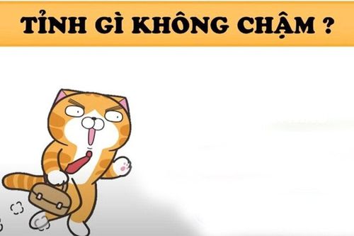 Câu đố mẹo 5 giây: Tỉnh gì không chậm?