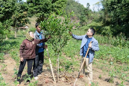Nông thôn mới Điện Biên nhiều khởi sắc