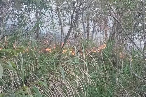 Cháy rừng trên đỉnh núi Tây Côn Lĩnh (Hà Giang)