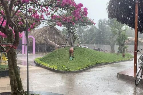 Miền Tây có mưa nặng hạt đầu mùa