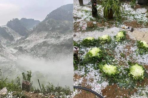 Mưa đá khốc liệt tại Sơn La, Hòa Bình có bất thường?