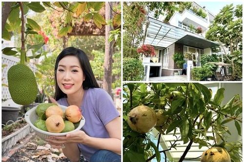 Toàn cảnh biệt thự ngập tràn cây trái của NSND Trịnh Kim Chi