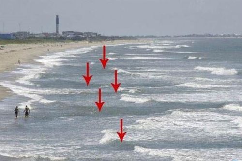 Cảnh giác với dòng rip