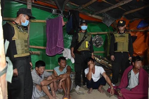 Hành trình phá 'ổ' khai thác trái phép hơn 90 lượng vàng trong rừng sâu ở Bình Thuận