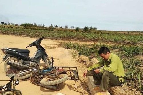 Tin mới vụ Trạm phó quản lý bảo vệ rừng bị đánh nhập viện