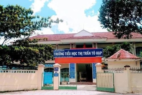 Vụ 29 học sinh nhập viện sau khi ăn cơm cuộn: Phát hiện vi khuẩn trong rong biển