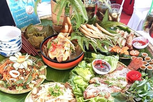Hội thi chế biến 'tinh hoa của núi rừng' thu hút đầu bếp nước ngoài