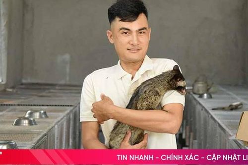 Bỏ phố về quê, làm chủ trang trại chồn hương bạc tỷ