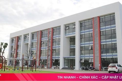 Trường Tiểu học, THCS và THPT Albert Einstein tuyển sinh năm học 2024 - 2025