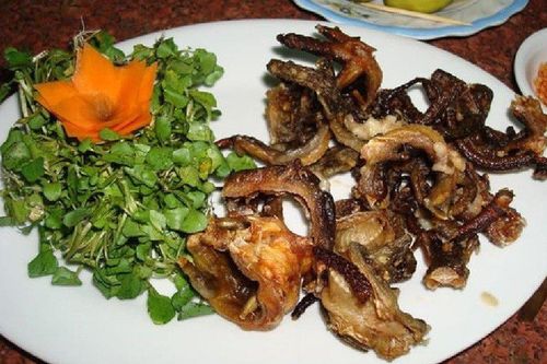 Thứ 'xưa không ai dám ăn' nay thành đặc sản đắt đỏ 1,4 triệu đồng/kg