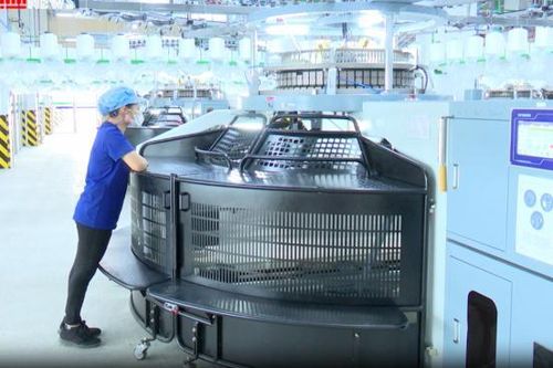 Nam Định: Nhiều tín hiệu vui từ xuất khẩu hàng hóa