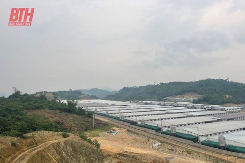 Thành lập đoàn kiểm tra trại lợn tại xã Tân Phúc