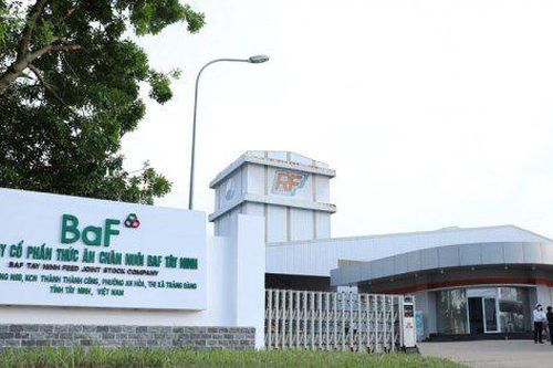 Sau quý I lãi đột biến nhờ thanh lý đất, BAF đặt mục tiêu lợi nhuận cả năm gấp 10 lần 2023