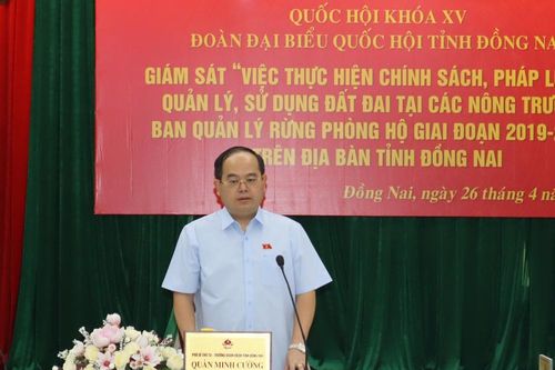Hơn 1,1 ngàn hécta đất nông, lâm nghiệp bị lấn chiếm, tranh chấp đang xử lý