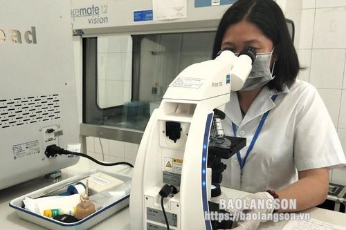Chủ động phòng ngừa bệnh sốt rét