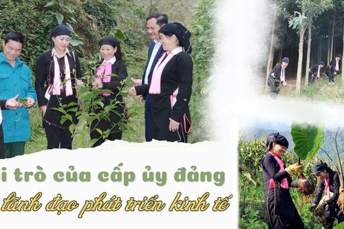 Vai trò của cấp ủy đảng trong lãnh đạo phát triển kinh tế