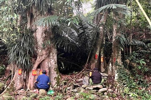 Nghi lễ cầu may của người Sán Chỉ ở Quảng Ninh