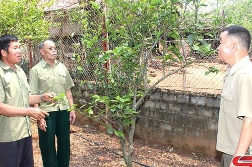 Quân và dân Yên Châu góp sức cho Chiến dịch Điện Biên Phủ