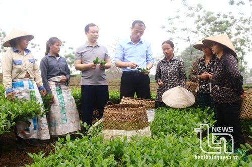 Nơi 'mạch nguồn' ba nghìn ngày không nghỉ