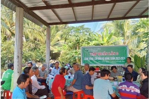 Kiên Giang: Phát triển nông nghiệp sinh thái, nâng cao giá trị sản phẩm nông nghiệp