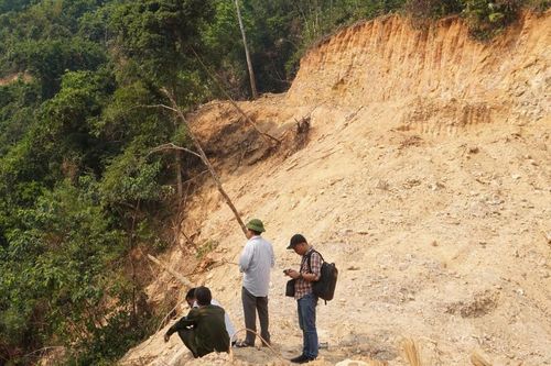 Đơn vị thi công đường ủi nhầm… rừng phòng hộ?