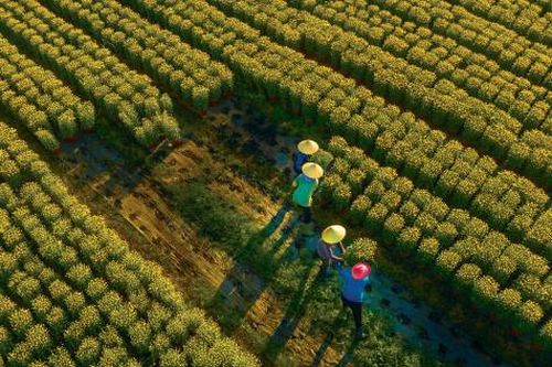 Duyên của người 'tay ngang' mê ảnh