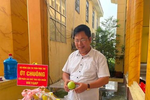 100% hội viên nông dân cam kết sản xuất, chế biến nông sản an toàn
