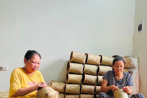 Cuộc sống mới ở Cây Chay