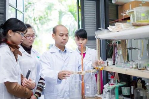 Các trường y dược hàng đầu cả nước công bố mức điểm xét tuyển đại học bằng IELTS mới nhất năm 2024
