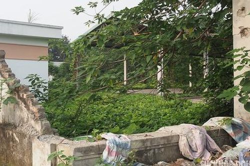Rác thải ngổn ngang, cỏ mọc um tùm ở chợ tiền tỷ