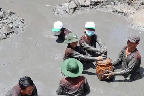 Sôi động 'Hương rừng U Minh' lần thứ 4