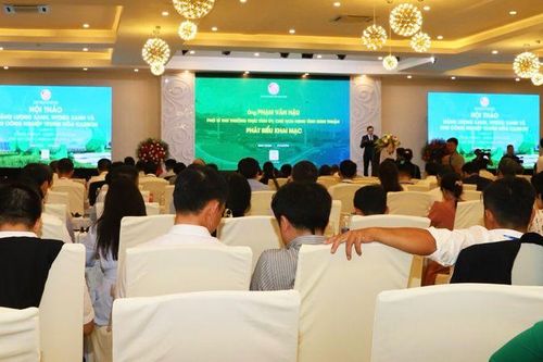 Ninh Thuận hướng đến phát triển năng lượng xanh, hydro xanh và khu công nghiệp trung hòa carbon