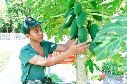 Bộ đội Tăng thiết giáp tăng gia mùa nắng nóng