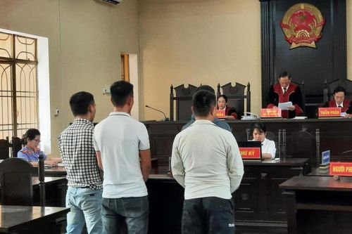 Y án nhóm 'con nghiện'
