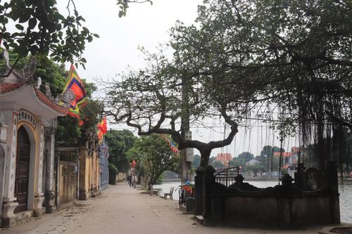 Dạo bước làng Nôm